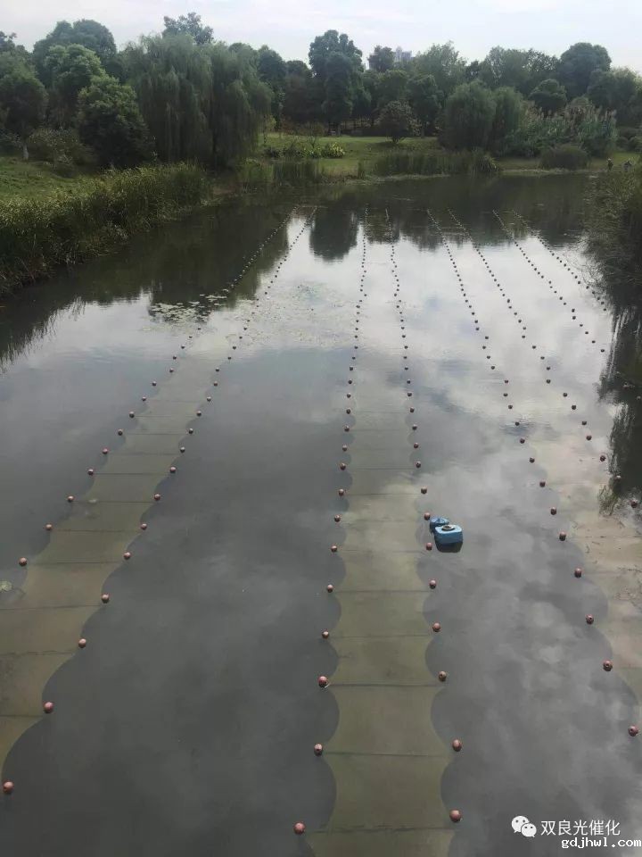 近3亿！老河道治理可研报告河口市水系治理及生态修复工程（一期）EPC总承包中标结果公告