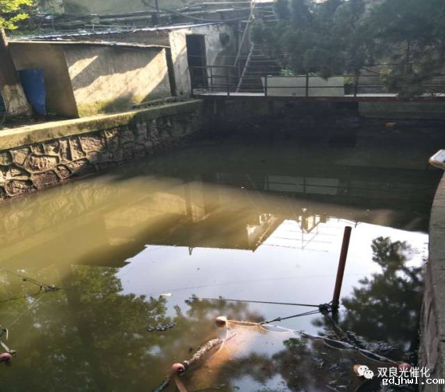 福建省财政厅公布九龙江流域山水林田湖草沙一体化保护和修复情况