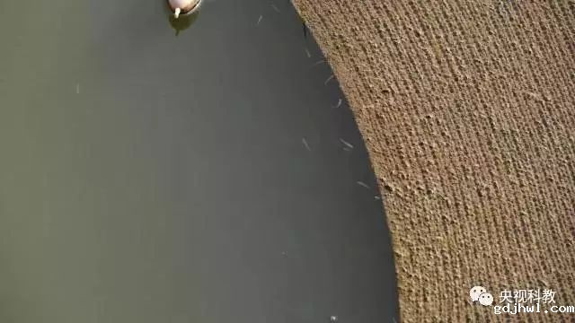 央视聚焦<a href=//www.gdjhwl.com target=_blank class=infotextkey>gdjhwl</a><a href=//www.gdjhwl.com target=_blank class=infotextkey>新型光催化</a>“走进科学”