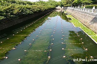 潮汐河道消除黑臭-江苏省江阴市法院秦泾河
