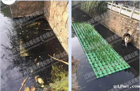 五方入围河北省沙河市城市生态与人居环境改善治理项目P河道治理项目PP项目！