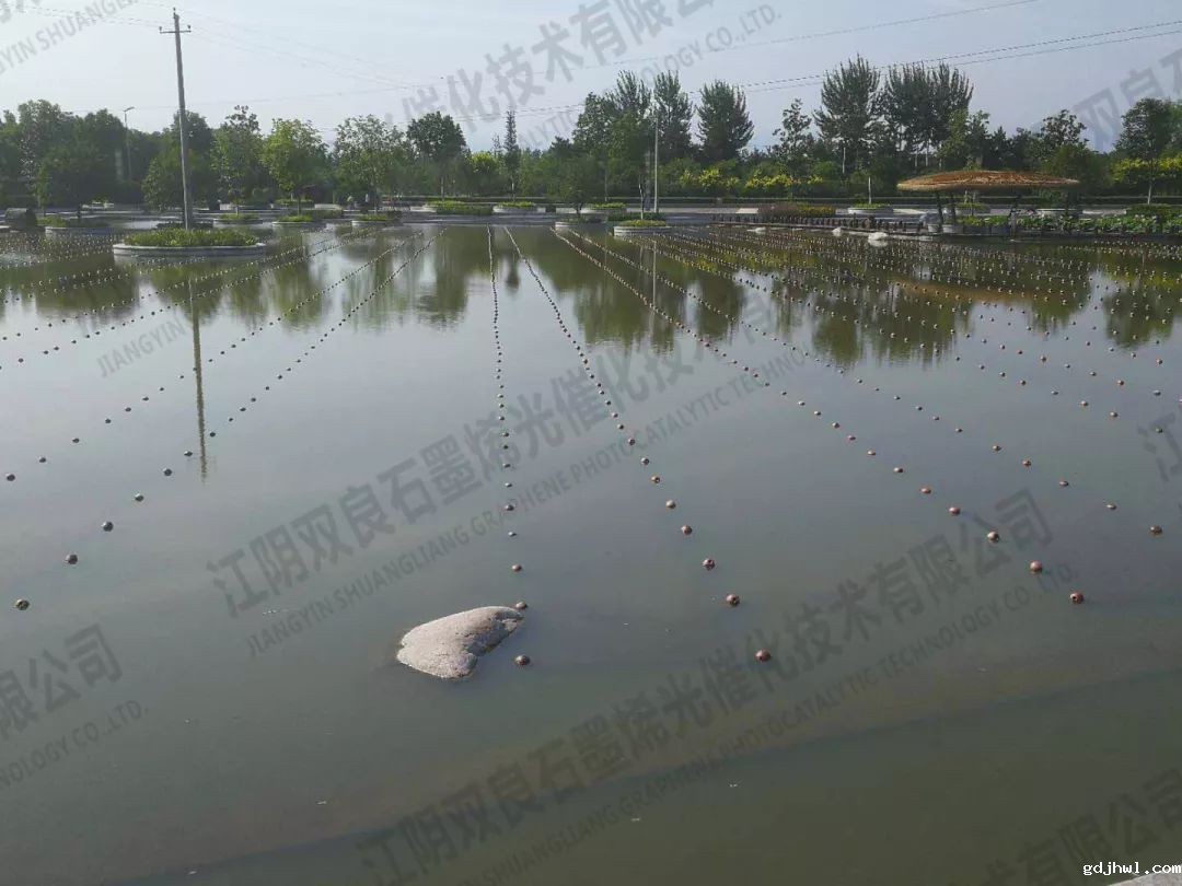 浙江杭州新湾街道河道水环境治理项目的公开招标公告
