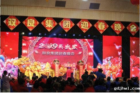 江苏gdjhwl迎春晚会精彩大放送
