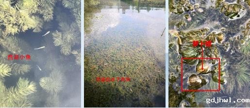 河南油田分公司采油二厂稠油联合站 VOCs治理工程施工总承包招标河道治理公司公告