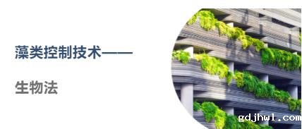 科普小课堂第30期 | 藻类控制技术（三）