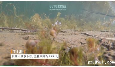 保护生物多样性taptap虚拟体育在行动！