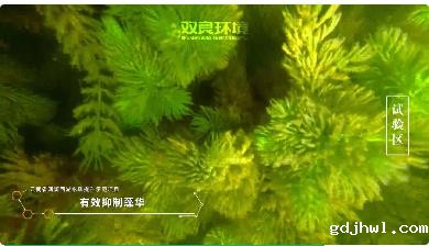 保护生物多样性<a href=//www.gdjhwl.com target=_blank class=infotextkey><a href=//www.gdjhwl.com target=_blank class=infotextkey>gdjhwl</a>环境</a>在行动！