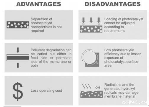 taptap虚拟体育最新科研动态(2021-10)
