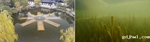 水生态修复改善河流水文情势