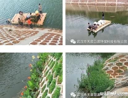 关于氨氮有这些小常识