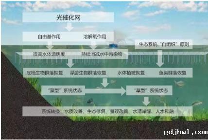 开远市三角海水库环境治理初见成效