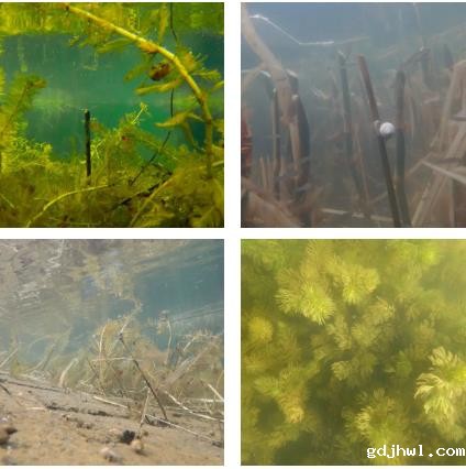 暗访中小河道治理和“五违”整治工作