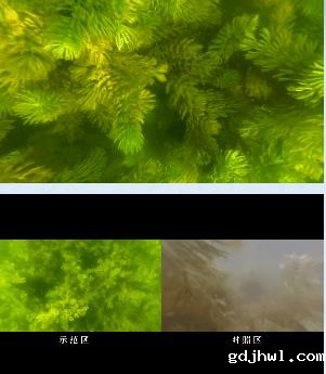 泽尼特为朝阳溪污水处理厂提供水环境治理方案