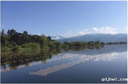 靖江经济技术开发区总部区域水环境综合治理