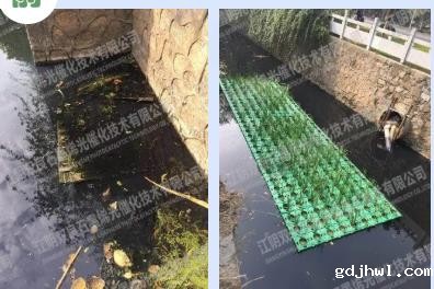 房山这两处“黑臭”水体变景观、绿地