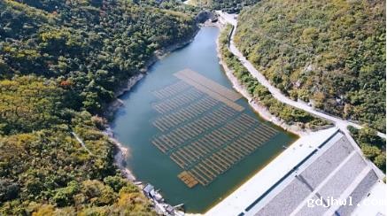 新闻转载｜东西湖湖泊整治提升居住幸福感