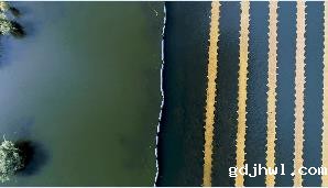 新闻转载｜“全国生态管家创新服务产业联盟”筹备工作正式启动