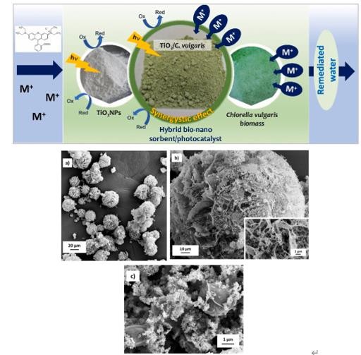  taptap虚拟体育最新科研动态(2022-11)